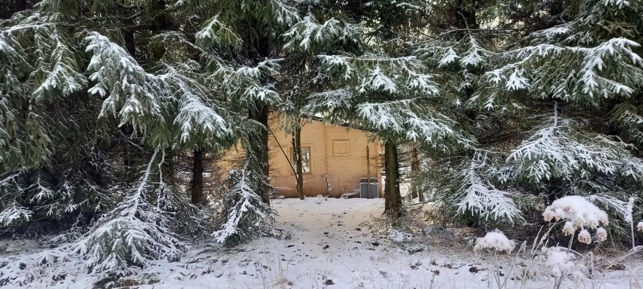 HeartSPAce Taszów Kültér fotó